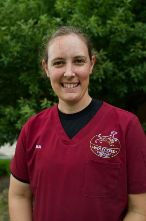 Veterinarian In Millersburg, OH | Wolf Creek Veterinary Services