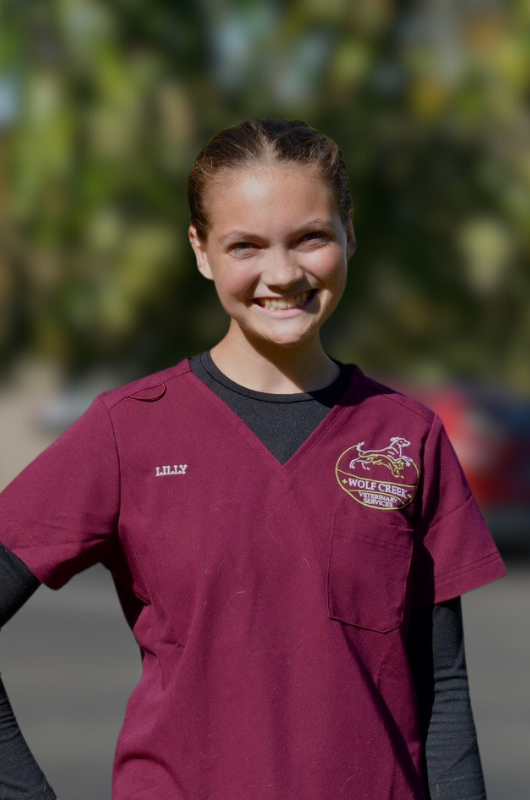 coming soon placeholder