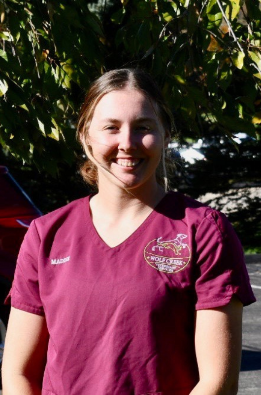 coming soon placeholder