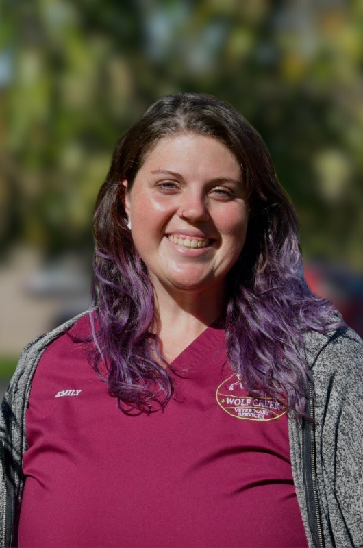 coming soon placeholder