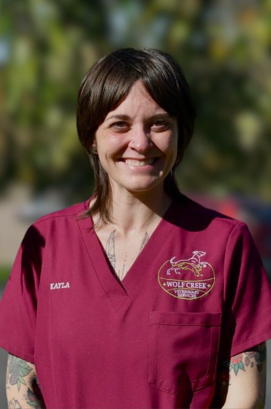 coming soon placeholder