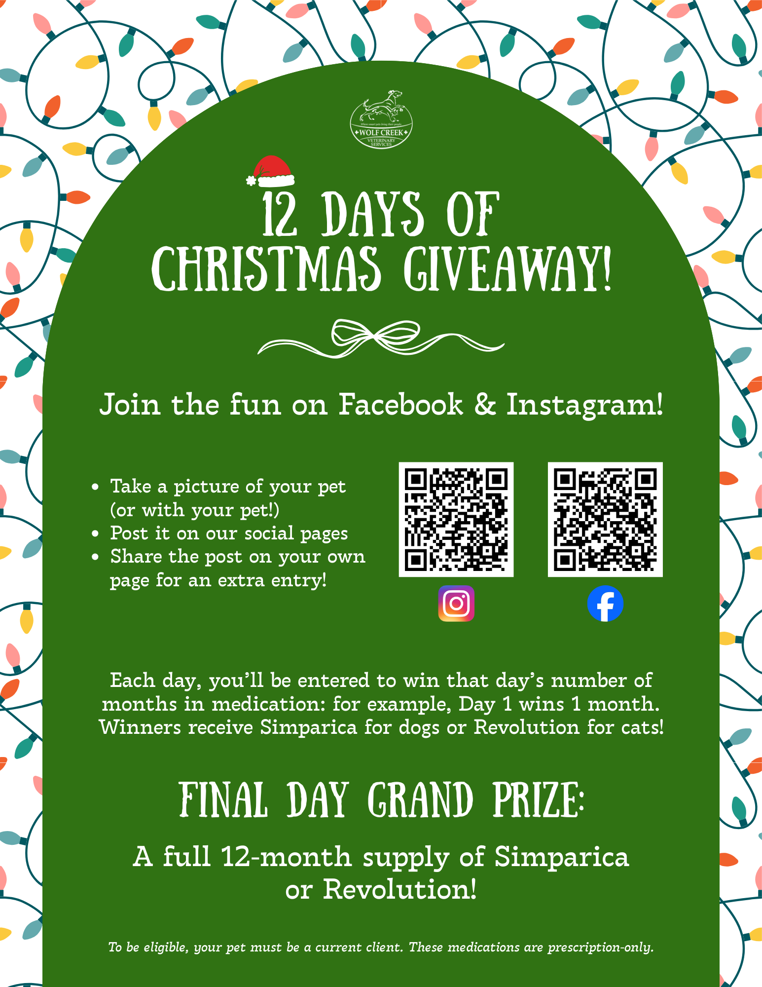 12 days of Christmas giveaway